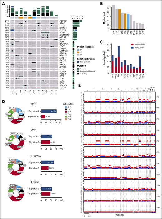 Genomic studies in trial patients. Mutational profile (A), mutational load (B), neoantigen load (C), mutational signatures (D), and copy number alterations (E) in bone marrow samples obtained at baseline from patients with smoldering myeloma.