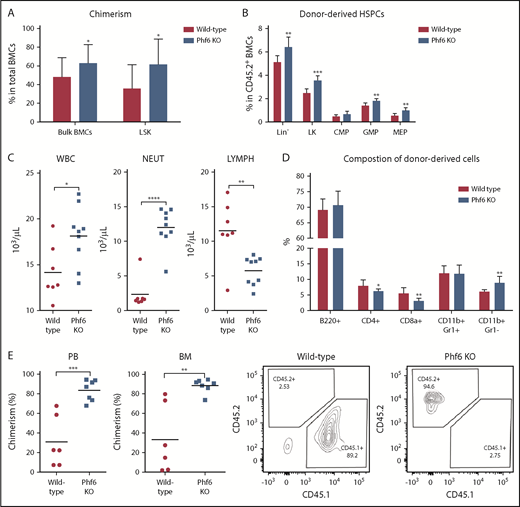 Figure 5. Transplantation assays of Phf6 knockout (KO) BMCs. (A) Chimerism was higher in the marrow of recipients transplanted with bulk Phf6 KO BMCs (P = .0312; wild-type, n = 7; Phf6 KO, n = 7). The recipients transplanted with sorted LSK cells from bone marrow of Phf6 KO mice also had significantly higher chimerism compared with wild-type (P = .0478; wild-type, n = 9; Phf6 KO, n = 8). (B) In a competitive repopulation unit assay, the recipients of Phf6 KO BMCs had higher percentages of Lin–, LK, GMP, and megakaryocyte-erythroid progenitor (MEP) cells (P = .0065, .000169, .0037, and .0032, respectively; wild-type, n = 7; Phf6 KO, n = 7) among the donor-derived cells. (C) Recipients of Phf6 KO BMCs had higher WBC and neutrophil (NEUT) counts but lower lymphocyte (LYMPH) counts than those of wild-type BMCs. (D) Within donor-derived blood cells, recipients of Phf6 KO BMCs had a lower proportion of CD4+ and CD8+ cells but higher CD11b+Gr1– cells in the blood compared with wild-type BMCs. (E) The chimerism in blood (left panel) and marrow (right panel) of the recipients of Phf6 KO BMCs was further enhanced in the secondary transplantation. Representative FACS plots of bone marrow are shown. *P < .05; **P < .01; ***P < .001; ****P < .0001. CMP, fluorescence-activated cell sorting analysis and cell sorting; PB, peripheral blood.