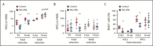 Figure 3. MLL-ENL depletes HSC and HPC numbers when it is induced in fetal, but not adult, mice. (A-B) HSC and HPC numbers in P0 liver (n = 15-19) or 10-week-old bone marrow (n = 10-12) after fetal MLL-ENL induction or in 6-month-old bone marrow (n = 6 per genotype) or 14-month-old bone marrow (n = 10-11) after adult MLL-ENL induction. Bone marrow cell numbers reflect 2 hindlimbs (tibias and femurs). (C) Twenty-four-hour HSC and HPC BrdU incorporation percentages were measured in E18.5 livers (n = 5-7) or 10-week-old bone marrow (n = 7 per genotype) after fetal MLL-ENL induction. For all panels, error bars indicate standard deviations. **P < .01, ***P < .001 for Tet-OFF-MLL-ENL relative to controls. Groups were compared by the 2-tailed Student t test.
