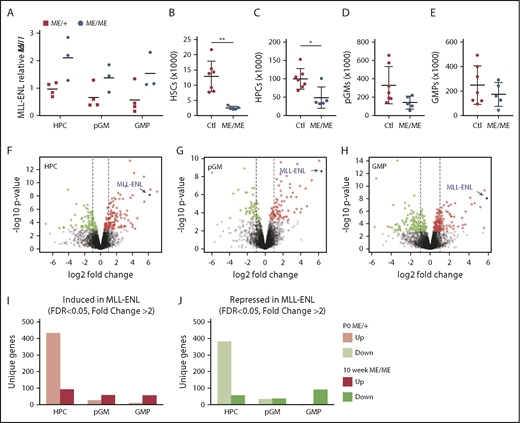 Figure 5. Increased MLL-ENL expression partially overcomes the barrier to target gene activation and repression in adult progenitors. (A) MLL-ENL transcript levels in Col1a1TetO_MLL-ENL heterozygous or homozygous mice. Transcript expression was normalized to endogenous Mll1 in each sample, as in Figure 1E. (B-E) HSC, HPC, pGM, and GMP numbers in 10-week-old, homozygous Tet-OFF-MLL-ENL mice after fetal induction. Error bars indicate standard deviations. n = 5 to 8, *P < .05, **P < .01; groups were compared with the 2-tailed Student t test. (F-H) Volcano plots show genes that are significantly induced (red) or significantly repressed (green) in HPCs, pGMs, or GMPs in 10-week-old mice that are homozygous for the Col1a1TetO_MLL-ENL allele. The MLL-ENL transcript was mapped, and expression is indicated as a blue data point. Adjusted P values were calculated as indicated in "Materials and methods." (I-J) Numbers of unique genes that were significantly induced or repressed with a fold change >2 in P0 mice with a heterozygous Col1a1TetO_MLL-ENL allele, as compared with adult mice with a homozygous Col1a1TetO_MLL-ENL allele. Changes in gene expression were far more extensive in neonatal HPCs than at other time points or in other cell types, despite the presence of only a single MLL-ENL transgene. For all groups, n = 4 independent biological replicates. For panels B-E, Ctl indicates control and ME indicates Tet-OFF-MLL-ENL genotypes.