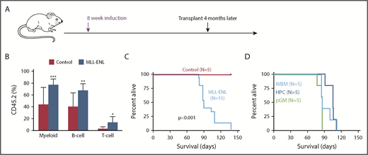 Figure 6. Transplanted HPCs and pGMs give rise to AML after adult MLL-ENL induction. (A) Overview of experiment timeline. (B) Percentage of donor (CD45.2) peripheral blood myeloid cells (CD11b+Gr1+), B cells (B220+), and T cells (CD3+) at 4 weeks after transplantation. *P < .05, **P < .01; groups were compared with the 2-tailed Student t test. (C) Kaplan-Meier survival curves for mice transplanted with control or MLL-ENL–expressing bone marrow. (D) Survival curves for a second cohort of MLL-ENL–expressing mice transplanted with 300 000 whole bone marrow cells or 3000 HPCs or pGMs. Group sizes are indicated. Survival curves were compared with the log-rank test.