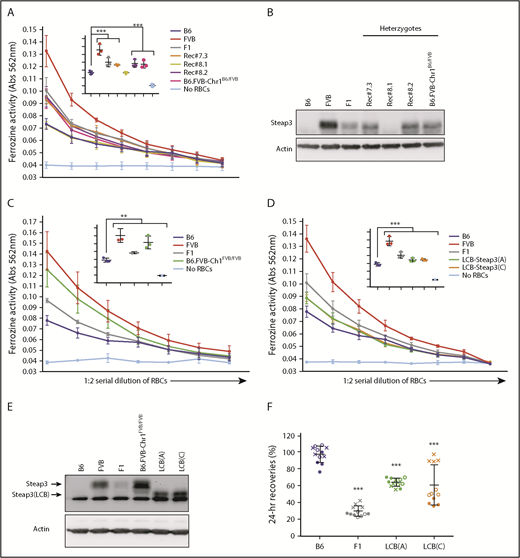 Figure 3. Levels and effects of Steap3 expression on RBCs. (A,C-D). Ferrireductase activity in RBCs as measured by using ferrozine as an indicator of conversion of Fe3+ to Fe2+. Data shown represent combined means from 3 independent experiments (n = 2-4 mice per group, per experiment). Statistics were calculated by using 2-way ANOVA with a Bonferroni post hoc analysis. At the highest concentration of RBCs tested (inset panel in each graph), ferrozine activity of B6 was significantly lower than all other samples (P < .0001) except Rec#8.1 for panel A; ferrozine activity of B6 was significantly lower than all other samples (**P < .005 for F1 and P < .0001 for FVB, B6.FVB-Chr1FVB/FVB) for panel C; and ferrozine activity of B6 was significantly lower than all other samples (P < .0001) for panel D. (B,E) Western blot of RBC ghosts using an anti-Steap3 antibody. After development, membranes were stripped and re-probed with anti-Actin as a control for loading and transfer. (F) Twenty-four–hour recoveries of RBCs stored for 7 days. These data represent combined means and SD from 3 independent experiments (experiment 1 data are shown as a solid circle, experiment 2 data are shown as a hollow circle, and experiment 3 data are shown as an X). Statistics were calculated by using 1-way ANOVA with a Bonferroni post hoc analysis. A significant difference from B6 is indicated by ***P < .0001.