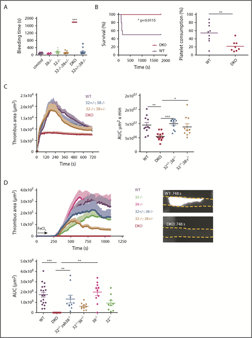 Figure 5. Defective hemostasis and thrombus growth in DKO mice. (A) Bleeding time measured as the time to the first cessation of bleeding. For DKO mice, bleeding was manually stopped at 1800 seconds; n = 10-12 mice, scatter plot with mean ± SEM, each dot corresponds to an individual mouse, ***P < .0001 with Kruskal-Wallis test and Dunn’s multiple comparison test. (B) TF-induced thromboembolism experiments. (Left panel) Percentage survival following tissue factor injection, n = 10 mice; statistics using a log-rank (Mantel-Cox) test. (Right panel) Individual and mean percentage of platelet consumption, n = 8-9 mice; **P < .01 using Student t test. (C) Laser-induced mesenteric arteriole injury. (Left panel) Curves representing the mean ± SEM thrombus area at each time point of 10 to 13 vessels observed from 7 to 9 mice. (Right panel) Bar graph of the area under the curve (AUC) of the individual curves corresponding to the graph shown in left. **P < .001, Kruskal-Wallis test. (D) FeCl3-induced carotid artery injury. FeCl3 was applied to the lateral side of the carotid for 150 seconds (arrow), after which thrombus growth was visualized from the top. (Upper left panel) Curves representing the mean ± SEM thrombus area at each time point, n = 10 mice. (Upper right panel) Representative top view showing the fluorescent platelet accumulation at the peak thrombus formation in WT mice (748 seconds) (upper image) and the absence of platelet accumulation in DKO mice (lower image). (Lower panel) Scatter bar graph of the AUC; **P < .001, ***P < .0001 using Kruskal-Wallis test and Dunn’s posttests.