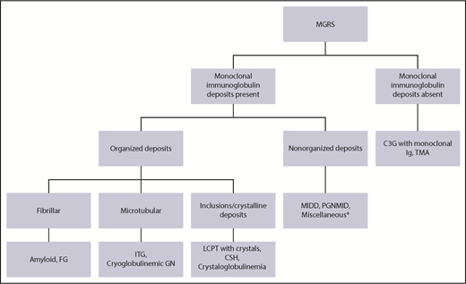 Figure 1. Classification of MGRS based on the ultrastructural findings of the monoclonal deposits. *Includes non-MGRS kidney diseases, such as anti-glomerular basement membrane (glomerular basement membrane (GBM) disease, membranous nephropathy, and Henoch-Schonlein purpura (HSP). These are presumed to be due to a monoclonal protein acting as an autoantibody (against antigen on glomerular basement membrane in anti-GBM disease and PLA2R in membranous nephropathy). Notably, a single subclass restriction (IgG1κ), absence of PLA2R staining, and associated proliferative changes on renal biopsy are indicative of MGRS in occasional cases of membranous nephropathy with monoclonal immunoglobulin.37 Rare cases of HSP with IgA nephropathy have been associated with monoclonal IgA or MM. These patients experience frequent relapses and a high recurrence rate postrenal transplantation.9 FG, fibrillary glomerulopathy; Ig, immunoglobulin; ITG, immunotactoid glomerulonephritis.