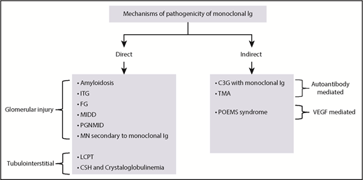 Figure 2. Mechanisms of MGRS pathogenicity. VEGF, vascular endothelial growth factor.