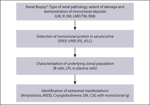 Figure 3. Proposed step-wise algorithm for the diagnosis of MGRS. *Renal biopsy advised if ≥1 of acute kidney injury (AKI) stage 3, estimated glomerular filtration rate (eGFR) < 60 mL/min per 1.73 m2 and >2 mL/min per 1.73 m2 per year decline, proteinuria and hematuria, albumin/creatinine ratio > 30 mg/mmol, and FS (hypouricemia).9 *Renal biopsy considered if ≥1 of AKI stage 1 or 2, eGFR < 60 mL/min per 1.73 m2 and <2 mL/min per 1.73 m2 per year decline, albumin/creatinine ratio 3 to 30 mg/mmol and eGFR > 60 mL/min per 1.73 m2, hematuria and eGFR < 60 mL/min per 1.73 m2, and evidence of light chain proteinuria.9 *Defer renal biopsy if stable eGFR, bland urinalysis, and no evidence of light chain proteinuria.9 In ∼40% of cases, monoclonal protein is not demonstrated in serum/urine. In such cases, renal biopsy should be considered in the diagnostic algorithm depending on the clinical suspicion.3 In cases of MGRS-compatible renal lesion with monoclonal immunoglobulin deposition, a diagnosis of MGRS should be considered and therapy instituted, because a monoclonal protein might not be demonstrated in some of these cases, despite a thorough evaluation (eg, PGNMID, FG). The latter situation could arise due to the extremely small amount of monoclonal protein that escapes detection by conventional methods or a result of pitfalls in the current diagnostic assays. IEM, immunoelectron microscopy; IF, immunofluorescence; LMD, laser microdissection; TM, tandem mass spectrometry. Adapted from Leung et al9 with permission.