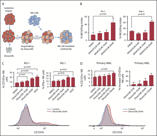 Figure 1. Dinaciclib enhances NK-cell activation and cytotoxicity against human AML targets. (A) Study scheme for NK-cell killing and activation assay. (B) NK-cell–killing assay. KG-1 and THP-1 cell lines were incubated with dinaciclib for 24 hours. After drug washout, NK cells (an E:T ratio of 2:1) or media were incubated with targets for 24 hours. The NK-killing index (percentage) was calculated by comparing the percentage of AML targets killed with drug treatment combined with donor NK cells relative to drug treatment alone. (C-D) Leukemia targets were incubated with dinaciclib overnight. Healthy donors’ PBMCs were added to and incubated with targets for 4 hours with an E:T ratio of 2:1. CD107a and/or IFNγ of NK cells were measured by flow cytometry. (C) NK-cell activation against KG-1. K562 serves as a positive control. (D) NK-cell activation against primary AML samples. The data represent replicates using NK cells from 4 healthy donors and representative histograms are shown at the bottom. Error bars represent mean ± standard error of the mean. DMSO, dimethyl sulfoxide.