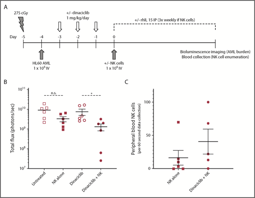 Figure 2. Dinaciclib enhances NK-cell killing of leukemic target cells in human AML cell line xenograft mice. NSG mice were conditioned, engrafted with luciferase-expressing HL60 AML cells, and then treated with dinaciclib and/or enriched primary human NK cells from healthy donors as outlined (A). Mice that received human NK cells also received 5 µg of recombinant human IL15 (rhIL15) 3 times per week. Leukemic burden was analyzed by bioluminescent imaging (B) and peripheral blood was obtained to enumerate human NK-cell numbers (human CD45+CD3−CD56+ cells) (C) at 28 days after NK-cell injection. Error bars represent mean ± standard error of the mean. *P < .05 using a paired Student t test corrected for multiple comparisons. IP, intraperitoneally; n.s., nonsignificant P value.