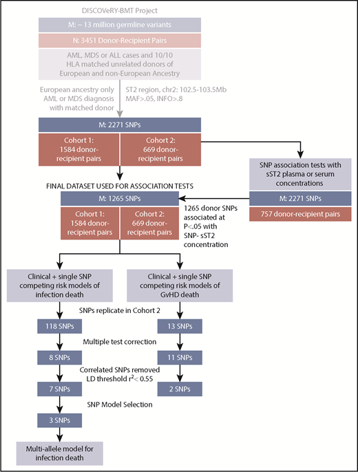 Figure 1. Study schema showing analytic workflow. The flow diagram shows the selection process for both the samples (N) and SNPs (M) for analyses of aGVHD and infection death in the DISCOVeRY-BMT study.
