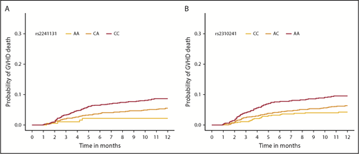 Figure 4. Cumulative incidence function of aGVHD death, according to donor SNP. The cumulative incidence of aGVHD death in the first year after HCT by rs2241131 (A) and rs2310241 (B) genotypes.