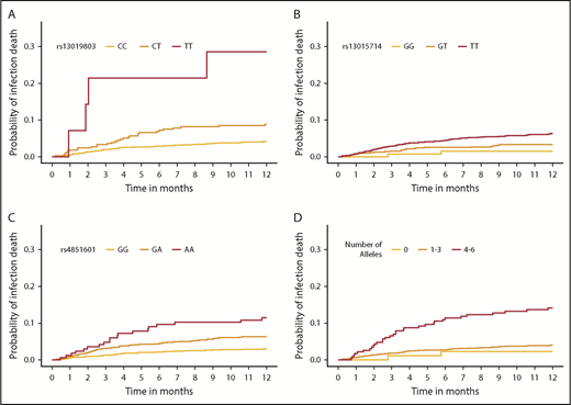 Figure 5. Cumulative incidence function of infection death, according to donor SNPs. The cumulative incidence of GVHD death in the first year after HCT by rs13019803 (A), rs13015714 (B), rs4851601 (C), and a multiallele model (D). (A-C) The multiallele model is the allele dosage sum of all 3 infection SNPs and was categorized for the number of total risk alleles: 0, 1 to 3, and 4 to 6, respectively.