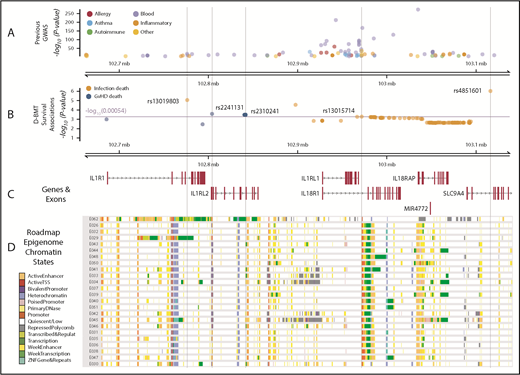 Figure 6. IL1RL1 region with associated SNP P values annotated with previous GWAS and Roadmap Epigenome chromatin states. (A) GWAS SNPs in the IL1RL1 region SNPs are classified by broad phenotypes indicated by the colored circles; all variants are associated at P < 5 × 10−8. (B) SNP associations in the IL1RL1 region with infection death and aGVHD death at P < .05 in cohort 1 and replicated in cohort 2. All variants above the multiple test correction line (red) are considered significant. The x-axis is the chromosome position in megabase pairs and y-axis shows the −log10 (P values) for aGVHD and infection death. The higher the −log10 number, the lower the P. The SNPs selected using step-AIC for multi-allele models, for death from aGVHD (rs2241131 and rs2310241), and infection (rs4851601, rs13019803 and rs13015714) are highlighted with dashed lines drawn through the point to show the relationship of the variant to GWAS hits and epigenome road map data. (C) Genes in the region were mapped from UCSC build hg19, based on the known Gene Track (C) and annotated with chromatin states from Roadmap Epigenome project (D) for all blood, T cells, HSCs and B cells. The cell line numbers shown down the left side correspond to specific Roadmap Epigenome cell line identifiers (supplemental Table 7). The colors indicate ChromHmm status which is shown in the key.