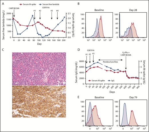 Figure 1. Treatment course and BCMA expression for patients 1 and 2. (A) Serum M-spike and free λ light chain levels for patient 1 are depicted over time, with treatment timepoints depicted by arrows. (B) Bone marrow aspirate cells from patient 1 pretreatment and 28 days post-BCMA CAR T-cell infusion were gated on live myeloma cells (CD45−CD38+CD19−CD56+λ+) and assessed for BCMA expression (pink histogram) as described in Cohen et al.6Fluorescence minus 1 control (blue histogram) is also shown. (C) Biopsy of a focal bone lesion at progression post-GSK2857916 in patient 1 showed sheets of plasma cells (hematoxylin and eosin; top), with persistent BCMA expression by immunohistochemistry (bottom).8 Magnification ×200. (D) Serum M-spike and IgG levels for patient 2 are depicted over time, with treatment timepoints depicted by arrows. (E) Bone marrow aspirate mononuclear cells from patient 2 pretreatment and 79 days post-BCMA CAR T-cell infusion was assessed for BCMA expression by flow cytometry, gating on live myeloma cells (CD45−CD38+CD138+CD19−, pink histograms) or nonplasma cells (CD45+CD38−CD138−, blue histograms). Patient 1 treated on NCT025461676; patient 2 treated on NCT03288493.9 Cy, cyclophosphamide; Dex, dexamethasone; Flu, fludarabine; GSK′916, GSK285916 (NCT02064387)3; Len, lenalidomide; Pembro, pembrolizumab; qPCR, quantitative polymerase chain reaction.