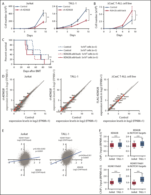 Figure 6. KDM2B is required for the maintenance of T-ALL. (A) In vitro proliferation of human T-ALL cell lines after the knockdown of KDM2B. mCherry tagged sh-KDM2B or control sh-SCR viruses were transduced into human T-ALL cell lines with (Jurkat) and without (TALL-1) NOTCH1 activation. mCherry positive cells were isolated by cell sorting. Data are shown as the mean ± SEM of triplicate cultures. (B) In vitro proliferation of mouse ΔCxxC T-ALL cells after the overexpression of KDM2B. GFP-tagged 3xFLAG-Kdm2b or control viruses were transduced into ΔCxxC T-ALL cells immortalized from primary ΔCxxC T-ALL cells. GFP+ cells were isolated by cell sorting. Data are presented as the mean ± SEM of triplicate cultures. (C) Kaplan-Meier survival curves of the sublethally irradiated recipient mice infused with ΔCxxC T-ALL cells with or without KDM2B add-back. A total of 1 or 5 × 106 cells were transplanted into each recipient. (D) Scatter diagram showing RNA-seq data. Signal levels of RefSeq genes (FPKM+1 in log2) in control and KDM2B knockdown human T-ALL cell lines are plotted. Representative direct target genes of NOTCH1 are shown as red dots. (E) Scatter diagram of the H2AK119ub1 and KDM2B enrichment (ChIP/input, RPKM+0.1 in log2) in human T-ALL cells. (F) Summary of KDM2B binding and H2AK119ub1 levels detected by the ChIP-seq analysis. The fold enrichment values of KDM2B and H2AK119ub1 ChIP signals were calculated against the input signals (ChIP/input, RPKM+0.1) around the TSS (±2 kb) of RefSeq genes in Jurkat and TALL-1 cells. Left, all RefSeq genes; right, NOTCH1 target genes in DP T-ALL cells defined by the previous study.32 *P < .05; **P < .01; ***P < .001 by Student t test.