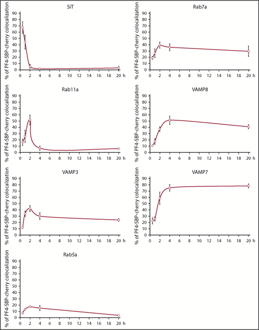 Figure 3. Mapping out the pathway taken by newly synthesized α-granule cargo. Differentiated imMKCLs were cotransfected with the RUSH bicistronic plasmid containing PF4-SBP-Cherry as a cargo-reporter and GFP-tagged markers of several compartments. Cells were fixed before and after the addition of biotin at various time points, and numerous cells were imaged for each marker at each time point (n ≥ 5 for each marker at each time point). The line graphs indicate the percent colocalization of the cargo-reporter with the GFP-tagged marker. SiT, sialyltransferase.