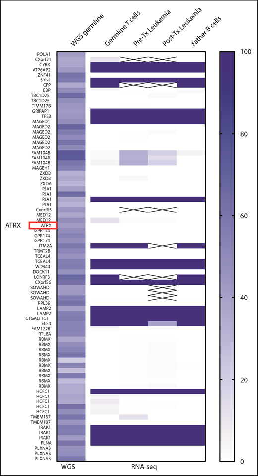 Figure 1. Heatmap of SNP allele expression pattern in X chromosome. Variant allele frequencies (VAFs) of the SNP genotype from WGS data were plotted on the first left column. VAFs of SNP expressions of 4 samples from RNA-seq data were plotted on the right 4 columns. Despite WGS data that show the presence of heterozygosity (ie, VAF ranges from 25% to 75%) in each SNP loci, RNA-seq data demonstrated the loss of heterozygosity (either 0% or 100%) in the majority of leukemia and germline cells, which exclusively expressed SNP alleles inherited from the patient’s father except FAM104B and the pseudoautosomal region (supplemental Figure 1). This finding is consistent with persistent XCI in hematopoietic lineage cells in the patient. Tx, transplant