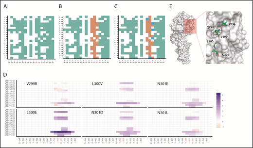 Figure 2. In silico design of deimmunized variants. Deimmunization strategy based on algorithm described in supplemental Figure 1. Deimmunization was applied to the neo-epitope identified in VA generated by introducing neo-sequences during protein engineering. (A) Positions in green indicate a predicted decrease in promiscuity scores for the given amino acid substitution. (B) Amino acid substitutions with a decreased promiscuity score were evaluated for conservation score; substitutions depicted in orange indicate substitutions with a conservation score ≥0.6. (C) The amino acid substitutions with a decrease in promiscuity score at nonconserved regions were evaluated using EVmutation; substitutions with a score ≥−0.25 are shown in blue. (D) The Log2 fold change of percent rank of predicted HLA-DRB1 binding compared with VA for each HLA allele. (E) Surface representation of FVII mutant (PDB ID: 3ELA). The potential mutation sites for deimmunization identified using RID are represented as sticks.