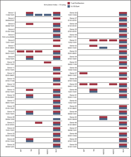 Figure 4. T-cell responses summary. A summary of donor responses, including high-resolution HLA-typing of the donors DRB1 allele, after restimulation with WT FVIIa, VA, and the mutants N301D and N301E peptides. Keyhole limpet hemocyanin (KLH) is included as a positive control. Only responders with SI > 1.9 (using 3 replicates) are shown.