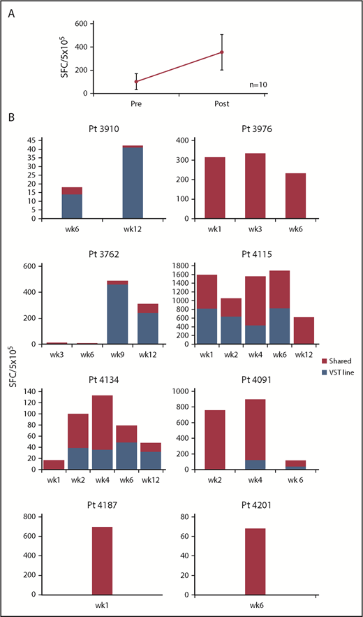 Figure 3. Frequency of CMV-specific T cells in vivo. (A) Frequency of CMVSTs in the peripheral blood before (pre) infusion and after (post) infusion, as measured by using the IFN-γ ELISPOT assay after overnight stimulation with IE1 and pp65 viral PepMixes. Results are expressed as SFCs per 5 × 105 input cells (mean ± SEM, n = 10). (B) Persistence of infused CMVSTs in individual patients. Frequency of T cells in peripheral blood as measured by using the IFN-γ ELISPOT assay after stimulation with epitope-specific CMV peptides with restriction to HLA antigens exclusive to the CMVST line or shared between the recipient and the CMVST line.