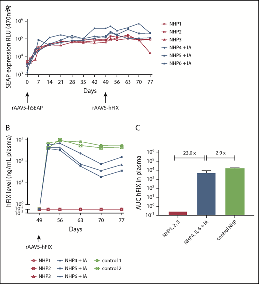 Figure 2. Dual hSEAP and hFIX transgene protein expression only in NHPs following IA. NHPs received a primary administration of rAAV5-hSEAP (day 0) and a secondary readministration of rAAV5-hFIX (day 49) with or without prior IA treatment (IA). (A) hSEAP protein expression was stable throughout the experiment and not impacted by the IA procedure. (B) hFIX protein was expressed successfully after IA. As a reference for hFIX levels, 2 NHPs that were administered with 3 × 1013 gc/kg rAAV5-hFIX were included. (C) The averages of the areas under the curves (AUC) ± standard deviation calculated for the hFIX expression over time showed an hFIX increase for the group submitted to IA (NHPs 4-6) when compared with the group without IA (NHPs 1-3). Furthermore, a decrease of 2.9 times was observed for the NHPs submitted to IA (NHPs 4-6) compared with the control animals (NHPs controls 1 and 2). RLU, relative light unit.