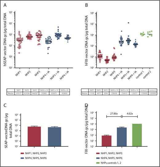 Figure 3. Increase of hFIX-vector DNA in liver following IA. Levels of hSEAP- and hFIX-vector DNA were monitored by qPCR in the liver tissue at euthanization. NHPs received a primary administration of rAAV5-hSEAP (day 0) and a second administration of rAAV5-hFIX (day 49) with or without pretreatment with IA (IA). Per animal, 30 different liver samples were analyzed. The hSEAP- (A) and hFIX-vector (B) DNA levels are plotted per animal with indication of the medians. (C-D) Medians and range per group are reported. Although animal groups with or without an IA procedure had similar levels of hSEAP-vector DNA, an increase of 27.86 times in genome copy number of hFIX-vector DNA was measured in the animal group that underwent the IA. The levels of hFIX-vector DNA measured in the control group, primary administered with rAAV5-hFIX at the same dose of 3 × 1013 gc/kg, were 4.62 times higher than the group that underwent IA.