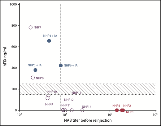Figure 5. Anti-AAV5 NAB threshold compatible with readministration. The efficacy of rAAV5-hFIX liver transduction at readministration was determined as a function of anti-AAV5 NAB titers. Post-rAAV5-hFIX readministration levels of hFIX protein at day 56 were plotted against the anti-AAV5 NAB IC50 levels just before the rAAV5-hFIX readministration. The data for 14 NHPs are reported in the graph; NHPs 1 to 6 (closed symbols) and NHPs 7 to 14 (open symbols). The vertical dotted line represents the threshold of efficacy determined at an IC50 of 8250. The horizontal area represents the minimal therapeutic range of 150 to 250 ng/mL corresponding to 3% to 5% of 5 mg/mL.