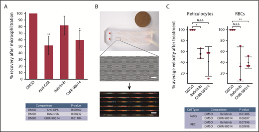 Figure 2. GSK3 and Lyn inhibition impacts capillary traversal of reticulocytes and red blood cells. (A) Percentage recovery of reticulocytes treated with the respective reagent after microsphiltration. After treatment, the cells were added to an untreated RBC suspension in a 5:95 ratio and the mixture then subjected to microsphiltration. Anti-GPA antibody was used as a positive control for negative effects on cell deformability. Bafetinib (3 µM) was used as a Lyn inhibitor and CHIR-98014 (10 nM) was used as a GSK3 inhibitor. Error bars correspond to the standard deviation (n = 3). All comparisons were performed with a paired 2-tailed Student t test. The P values for each comparison are shown below the bar graph. *P < .05, **P < 0.01. (B) Image of the microfluidic PDMS biochip used for the capillary traversal experiment. The magnified image shows a section of the microcapillary channels, through which reticulocytes and red blood cells were subjected to successive deformations. Frame sequences were obtained through the use of a high-speed camera and then subjected to image analysis for automated cell tracking with the use of TrackMate.51 Scale bars, 50 μm. (C) Percentage microcapillary traversal velocity of reticulocytes and red blood cells treated with the respective reagents. The cells were treated for a minimum period of 1 hour and subjected to passage through the microfluidic biochip. The graph shows the average cell microcapillary traversal velocity of each treated sample as a percentage of the respective DMSO control sample traversal velocity. All comparisons were performed with a 1-sample Student t test. The error bars correspond to the standard deviation (n = 3). The P values for each comparison are shown below the dot plot. *P < .05, **P < .01. A minimum of 1000 cell tracks were analyzed per sample. n.s.s., not statistically significant.