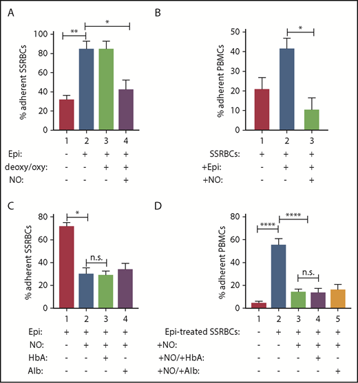 Figure 2. Exposure of SSRBCs to NO reduces both SSRBC adhesion and the ability of SSRBCs to activate mononuclear leukocyte adhesion. (A) NO loading of SSRBCs inhibits adhesion to ECs in vitro. SSRBCs were sham loaded (deoxygenation under helium/reoxygenation at room air) or NO loaded as described in "Materials and methods," followed by exposure to vehicle alone or to epinephrine (Epi) for 1 minute. Adhesion of SSRBCs to HUVECs was tested in intermittent flow condition assays. Results are presented as percent adherent SSRBCs at a shear stress of 1 dyne/cm2. Error bars show SEMs of 3 different experiments using blood samples from 3 different patient donors with SCD. **P < .002 for vehicle-treated vs Epi-treated; *P < .01 for sham-loaded Epi-treated vs NO-loaded Epi-treated. (B) NO prevents SSRBCs from inducing mononuclear leukocyte adhesion to ECs in vitro. SSRBCs were loaded with NO before epinephrine treatment. Adhesion of PBMCs pre-incubated with washed Epi-treated SSRBCs or washed NO-loaded Epi-treated SSRBCs were then assayed. Results are presented as percent adherent PBMCs at a shear stress of 1 dyne/cm2. Error bars show SEMs of 3 different experiments using blood samples from 3 different patient donors with SCD. *P = .0207 for PBMCs + Epi-treated SS vs PBMCs + NO-loaded Epi-treated SS. (C-D) The effect of SSRBC NO supplementation on adhesion in vitro is independent of release of NO itself. Adhesion of SSRBCs and PBMCs to HUVECs was tested in intermittent flow condition assays, and results are presented as percent adherent cells at a shear stress of 1 dyne/cm2. Error bars show SEMs of 3 different experiments using blood samples from 3 different patients with SCD for panels C and D, and 3 different healthy donors for panel D. (C) SSRBCs were treated with Epi for 1 minute, NO loaded followed by stimulation with Epi, NO loaded followed by stimulation with Epi and then incubation with free HbA, or NO loaded followed by stimulation with Epi then incubation with albumin (alb). *P = .0003 for Epi-treated vs NO-loaded Epi-treated. There was no statistically significant difference in adhesion of NO-loaded Epi-treated SSRBCs vs SSRBCs that had NO-loaded and Epi-treated and then incubated with either free HbA or alb. (D) SSRBCs were Epi-treated or NO loaded then Epi-treated, before coincubation with PBMCs in the presence of free HbA or alb. ****P < .0001 for PBMCs + Epi-treated SSRBCs vs PBMCs alone and PBMCs + NO-loaded Epi-treated SSRBCs vs PBMCs + Epi-treated SSRBCs. There was no statistically significant difference measured for adhesion of PBMCs + NO-loaded Epi-treated SSRBCs vs PBMCs + NO-loaded Epi-treated SSRBCs in the presence of free HbA or alb. n.s., not significant.