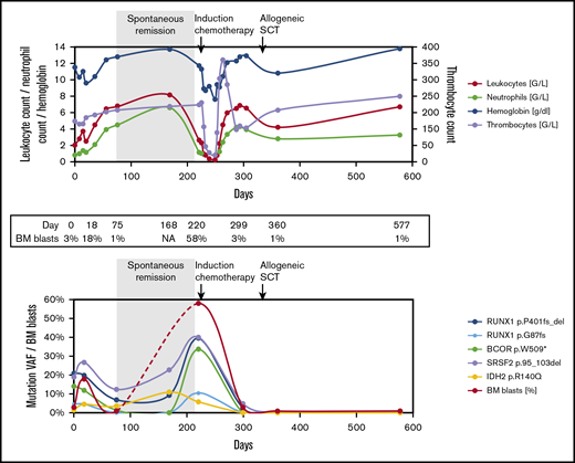 Blood counts and genetic landscape during the disease course of patient 1. BM, bone marrow; NA, not available; SCT, stem cell transplantation; VAF, variant allele frequency.