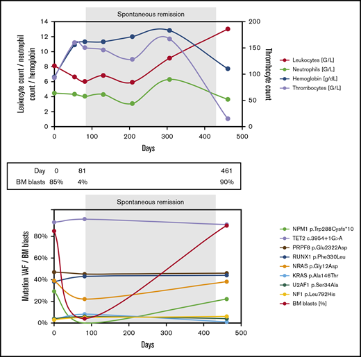 Blood counts and genetic landscape during the disease course of patient 2.