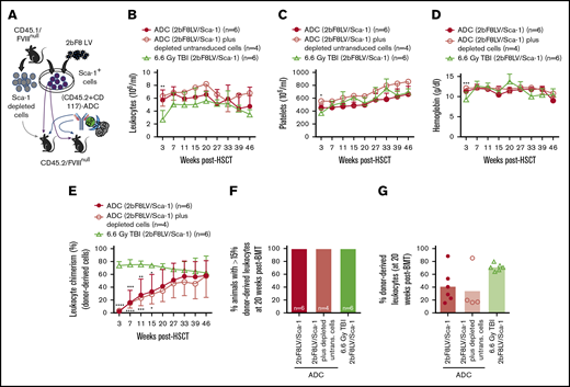 The influence of ADC-mediated conditioning on peripheral blood recovery and leukocyte chimerism in HA mice after 2bF8 lentiviral gene delivery to HSCs. CD45.2/FVIIInull mice were preconditioned with CD45.2 and CD117 antibodies conjugated with SAP and transplanted with Sca-1+ cells that were isolated from CD45.1/FVIIInull donors and transduced with 2bF8LV. Additional untransduced Sca-1–depleted cells were transplanted into some recipients. TBI (6.6-Gy) preconditioning was used as a control regimen in parallel. After ≥3 weeks of BM reconstitution, blood samples were collected for whole-blood count and flow cytometry analysis of leukocyte chimerism. (A) Schematic diagram of experimental design for 2bF8 gene therapy using (CD45.2+CD117)-ADC preconditioning. Sca-1+ cells isolated from CD45.1/FVIIInull donors were transduced with 2bF8LV and transplanted into CD45.2/FVIIInull recipients preconditioned with (CD45.2+CD117)-ADC. Some recipients were cotransplanted with untransduced Sca-1–depleted hematopoietic cells. (B) Leukocyte counts. (C) Platelet counts. (D) Hemoglobin levels. (E) Donor-derived leukocyte chimerism. (F) Percentage of animals with >15% donor-derived leukocytes at 20 weeks after transplantation. (G) Percentage of donor-derived leukocytes at 20 weeks after transplantation. These results show that (CD45.2+CD117)-ADC conditioning does not result in prolonged cytopenias in HA mice and enables engraftment of 2bF8LV-transduced HSCs after platelet-directed gene therapy. *P < .05, **P < .01, ***P < .001, ****P < .0001, ADC vs TBI, 2-way analysis of variance. Bio, biotin; SA, streptavidin.