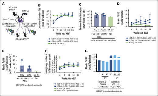 The impact of the addition of CD4-ADC or CD8-ADC on the efficacy of (CD45.2+CD117)-ADC preconditioning in platelet-specific FVIII gene therapy of HA mice. CD45.2/FVIIInull mice were preconditioned with (CD45.2+CD117)-ADC plus CD8-ADC or CD4-ADC and received 2bF8LV-transduced CD45.1/FVIIInull Sca-1+ cells. TBI was used as a control preconditioning regimen in parallel. After ≥3 weeks of BM reconstitution, blood samples were collected from recipients post-HSCT at various time points for chimerism analysis, qPCR analysis, and platelet lysate FVIII activity assay. (A) Schematic diagram of experimental design for 2bF8 gene therapy using (CD45.2+CD117)-ADC plus CD4-ADC or CD8-ADC preconditioning. (B) Leukocyte chimerism analyzed by flow cytometry. (C) Percentage of donor-derived leukocytes at 20 weeks after HSCT. (D) Platelet FVIII expression levels determined by platelet lysate FVIII activity assay. (E) Platelet FVIII expression levels at 21 weeks after HSCT. (F) Average copy number of 2bF8 proviral DNA per cell from peripheral blood leukocytes, as determined by qPCR. Homozygous 2bF8-transgenic mice (LV17/18Tg+/+) that were generated by our group via 2bF8LV-mediated transgenesis with a known copy number (4 copies per cell) were used as a positive control. (G) Platelet FVIII expression in sequential BMT recipients under ADC-mediated preconditioning. Sixty weeks after HSCT, BM cells were collected from some primary (1°) recipients and transplanted into secondary (2°) recipients under the same conditioning regimen that donors received: (CD45.2+CD117+CD4)-ADC or (CD45.2+CD117+CD8)-ADC. Animals were analyzed monthly. The levels of platelet FVIII expression from the 1° recipients were averaged from the last 3 time points. The 2° recipients’ platelet FVIII levels were averaged from the 3 time points after sequential transplantation. These results demonstrate that the addition of CD4-ADC or CD8-ADC can enhance the efficacy of (CD45.2+CD117)-ADC preconditioning in platelet-specific FVIII gene therapy in HA mice.