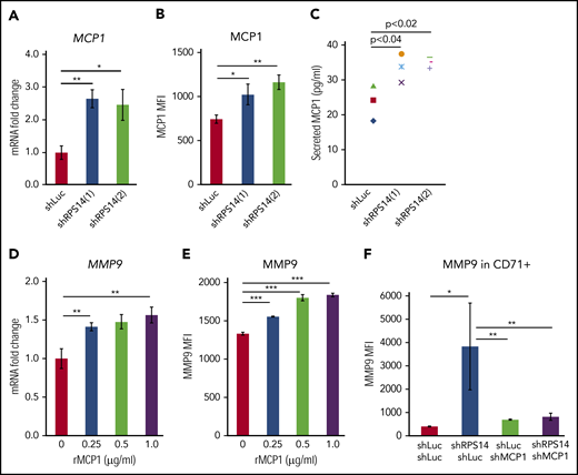 MCP1 regulates MMP9 expression in RPS14-deficient cells. Human BMCD34+ cells were transduced with lentivirus carrying shRNAs against RPS14 or Luc control. (A) After 5 days of transduction, cells were sorted for GFP+. RNA was collected and analyzed by using RT-qPCR. (B) After 5 days of transduction, cells were stained with MCP1 antibody and analyzed by using flow cytometry. (C) Cells sorted per GFP+ were cultured for an additional 2 days, and culture media were collected for an MCP1 ELISA. (D) Human BMCD34+ cells were cultured in liquid culture media. After 1 day of culture, cells were treated by rMCP1 for 4 days. RNA was collected and analyzed by using RT-qPCR. (E) Human BMCD34+ cells were cultured in liquid culture media. After 1 day of culture, cells were treated by rMCP1 for 4 days. Cells were stained with MMP9 antibody and analyzed by using flow cytometry. (F) Human BMCD34+ cells were transduced with lentivirus carrying shRNAs against RPS14 and MCP1. After 7 days of transduction, cells were stained with MMP9 antibody and analyzed by using flow cytometry. Data are representative of 2 independent transduction experiments. *P < .05, **P < .01, ***P < .001.