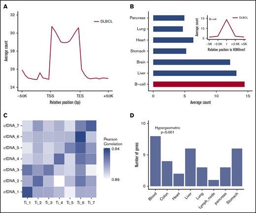 Distinct distributions of 5hmC in patient-derived cfDNA and tissue relevance. (A) The median and range of average counts are plotted against the relative genomic positions. The 5hmC-Seal data are enriched in gene bodies (split into 10 bins for all genes) relative to the flanking regions. (B) The 5hmC-Seal data are enriched in the B-cell–derived H3K4me1 loci compared with other tissue types (Student t test P < .001). H3K4me1 loci are obtained from the Roadmap Epigenomics Project data. (C) The top 100 highly variable (ie, most informative) 5hmC marker genes in cfDNA are highly correlated with those identified in the cfDNA-paired tissue samples from the same subject (n = 7). (D) The top 500 highly variable 5hmC marker genes in cfDNA are enriched within genes specific to blood compared with other tissues, based on the TiGER database for tissue-specific genes. TES, transcription end site; TSS, transcription start site.