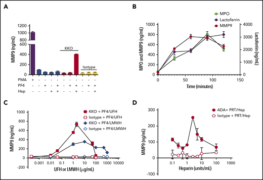 Heparin-containing ICs induce heparin-dependent neutrophil activation. (A) KKO-PF4/heparin ICs cause neutrophil degranulation and MMP-9 release. First, 100 µL of whole blood from a healthy donor was incubated with buffer, PMA (500 nM), KKO (25 µg/mL), or IgG2b isotype control (25 µg/mL) in the presence of the following antigens alone or in combination: PF4 (25 µg/mL) or heparin (Hep; 1 U/mL). After incubation for 30 minutes at 37°C, samples were centrifuged at 300g for 5 minutes. Plasma was removed, and MMP-9 was quantified. (B) KKO-PF4/heparin ICs cause release of all neutrophil granule populations. KKO (25 µg/mL) along with PF4 (25 µg/mL) and heparin (1 U/mL) was added to whole blood. After incubation for varying amounts of time (0-120 minutes), release of MMP-9, lactoferrin, or MPO was measured in plasma. (C) KKO-PF4/heparin IC–induced neutrophil activation is heparin/low molecular weight heparin (LMWH) dependent. Whole blood was incubated with KKO (25 µg/mL) along with PF4 (25 µg/mL) and UFH or LMWH at varying concentrations (ranging from 0 to 1000 µg/mL) or IgG2b isotype control (25 µg/mL) along with PF4 (25 µg/mL) and varying levels of UFH/LMWH. After 30 minutes, release of MMP-9 was measured in the plasma. (D) ADA-PRT/heparin ICs also induce heparin-dependent MMP-9 release. Whole blood was incubated with a monoclonal anti-PRT/heparin antibody (ADA 50 µg/mL) along with PRT (25 µg/mL) and varying amounts of heparin (0-100 U/mL). After 30 minutes, MMP-9 released in plasma was measured. Data are representative of 3 independent experiments and results using whole blood from 3 healthy donors. Results are expressed as mean ± standard deviation values for triplicate wells.