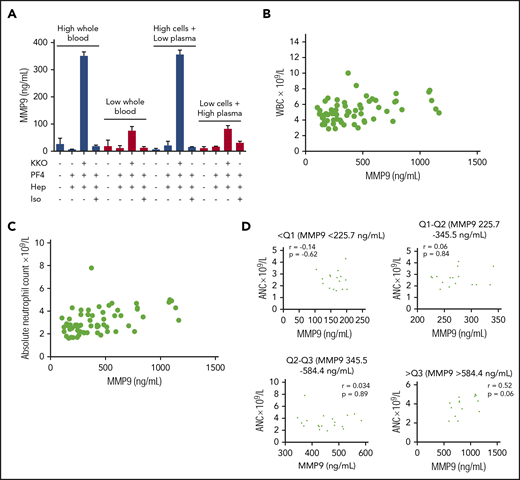 The degree of neutrophil activation induced by anti-PF4/heparin ICs is determined, in part, by neutrophil count. (A) The KKO-PF4/heparin IC activation phenotype is determined in the cellular fraction. Whole blood from an established high-reactivity donor and an established ABO-compatible low-reactivity donor was separated into their cellular and plasma fractions by centrifugation. After mixing the cellular and plasma fractions from high- and low-reactivity donors, reconstituted blood was incubated with buffer, PF4 (25 µg/mL), heparin (1 U/mL) alone or in the presence of KKO or isotype control (Iso, 25 µg/mL). MMP-9 release from reconstituted blood was compared with unmanipulated whole blood from the 2 donors. Results are expressed as mean ± standard deviation values for triplicate wells. (B) MMP-9 release in healthy donors is correlated with WBC count. WBCs from healthy donors (n = 71) is plotted as a function of KKO-PF4/heparin IC-induced MMP-9 release (Spearman r = 0.39; P = .001). (C) MMP-9 release in healthy donors is correlated with ANC. ANC in healthy donors (n = 71) is plotted as a function of KKO-PF4/heparin IC-induced MMP-9 release (Spearman r = 0.49; P < .0001). (D) Within healthy donor quartiles, MMP-9 release does not correlate with ANC. Healthy donors were divided into quartiles based on their KKO-PF4/heparin IC neutrophil response (as shown in Figure 5A). Within each quartile, ANC was plotted as a function of MMP-9. P = ns for all groups.