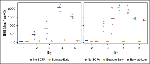 Transepithelial electrical resistance (TEER, in ohms * cm2) in differentiating colonic epithelium derived from primary human colonoids with varying timing of butyrate in the luminal compartment. With Hanks Buffered Salt Solution in the luminal compartment (No SCFA), a high level of TEER is achieved by differentiation day 4. With HBSS with 10 mM butyrate (Butyrate-Early) in the luminal compartment from day 1 onward, TEER does not develop. Butyrate (10 mM) from day 3 onward (Butyrate-Late) does not impair the development of TEER. Points are offset on the x-axis from the ordinal days for visual clarity.