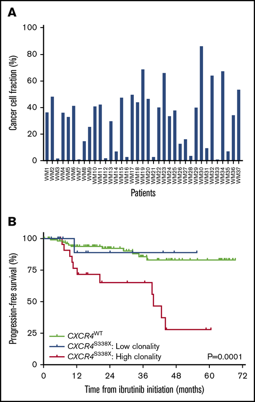 Clonality assessment of CXCR4S338X. (A) CCF analysis for CXCR4S338X clonality in CD19-selected BM cells from WM patients. (B) Kaplan-Meier curves for PFS on ibrutinib in WM patients stratified by CXCR4S338X mutant clonality.