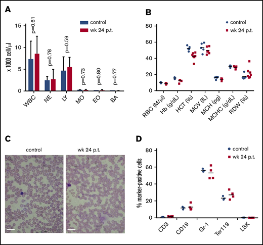 Effect of high-level ET3 expression on erythropoiesis. (A) Blood cell counts in hCD46-transgenic mice before treatment and at week 24 after in vivo HSC transduction. (B) Hematological parameters. Statistical analysis was performed using 2-way ANOVA. The differences between the 2 groups were not significant. (C) Representative blood smears before treatment and at week 24 after treatment in a mouse that expressed high-level ET3. Nuclei of white blood cells (WBCs) stain purple. Scale bars, 20 μm. (D) Cellular bone marrow composition in control and treated mice euthanized at week 24. Shown is the percentage of lineage marker-positive cells (Ter119+, CD3+, CD19+, and Gr-1+ cells). The differences between the 2 groups were not significant. BA, basophils; EO, eosinophils; Hb, hemoglobin; HCT, hematocrit; LY, lymphocytes; MCH, mean corpuscular hemoglobin; MCHC, mean corpuscular hemoglobin concentration; MCV, mean corpuscular volume; NE, neutrophils; RDW, red cell distribution width.