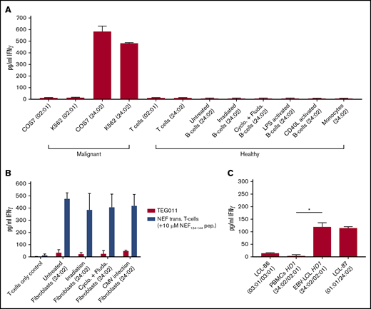 Activation of FE11 γδTCR–transduced T cells is limited to HLA-A*24:0+malignant cells. (A) Activation of TEG011 cells by malignant and healthy hematological cells. B cells from multiple HLA-A*24:02+ donors were activated or stressed before the TEG011 cell coculture. (B) TEG011 or NEF134-144 αβTCR–engineered αβ T-cell recognition after coculture with HLA-A*24:02+ healthy tissues. When using NEF134-144 αβTCR–engineered αβ T cells, 10 μM NEF134-144 was added. (C) Healthy donor B cells (HD1) were EBV transformed and cocultured with TEG011. Recognition was assessed by measuring IFN-γ secretion using ELISA. Error bars represent the SD (n ≥ 2). *P < .05. Cyclo, cyclophosphamide; Fluda, fludarabine.