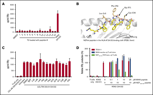Recognition of LCL-TM cells cannot be outcompeted by peptides. (A) T2 cells were transduced with HLA-A*24:02 and loaded with 10 µM of 15 different transformation-associated peptides (supplemental Table 1), after which they were coincubated with TEG011 cells. Activation of TEG011 cells was assessed by measuring IFN-γ production. (B) The 4 residues of NEF134-144 that are pointed out of the peptide binding groove of HLA-A*24:02 are indicated. (C) Ten micromoles of the generated NEF134-144-derived mutant peptides were loaded on LCL-TM cells, after which they were coincubated with TEG011 cells. (D) HLA-A*24:02-transduced K562 cells were loaded with 10 µM NEF134-144 before loading with increasing concentrations of an HLA-A*24:02-restricted MiHA peptide (K.F., unpublished data). The peptide-loaded loaded cells were coincubated with TEG011 cells, αβT cells engineered with an HLA-A*24:02-restricted NEF134-144-specific TCR or a MiHA-specific αβT cell clone. T-cell activation was assessed by measuring IFN-γ. Error bars represent the SD (n ≥ 2).
