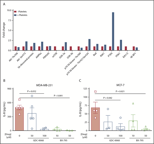 Figure 4. Platelets mediate tumor cell IL-8 via the Akt signaling pathway. An Akt signaling array was performed to interrogate activation of the Akt pathway. (A) MDA-MB-231 tumor cells were treated with platelets, lysed, and run on an Akt Signaling Array to interrogate phosphorylation levels of members within the Akt pathway. (B) To determine whether Akt pathway activation is necessary for platelet-induced IL-8 release, MDA-MB-231 cells were exposed to platelet releasates in the presence or absence of either an Akt inhibitor, GDC-0068 (50-100 μM), or the pyruvate dehydrogenase kinase 1 (PDK-1) inhibitor, BX-795 (10-50 μM), and IL-8 was measured by ELISA 24 hours later. (C) Experiment B was repeated with MCF-7 cells. n = 1 single experiment in panel A and 3 to 5 independent replicates per treatment group in panels B-C. P values were obtained through separate 1-way ANOVA, with post hoc Tukey’s multiple comparisons testing.