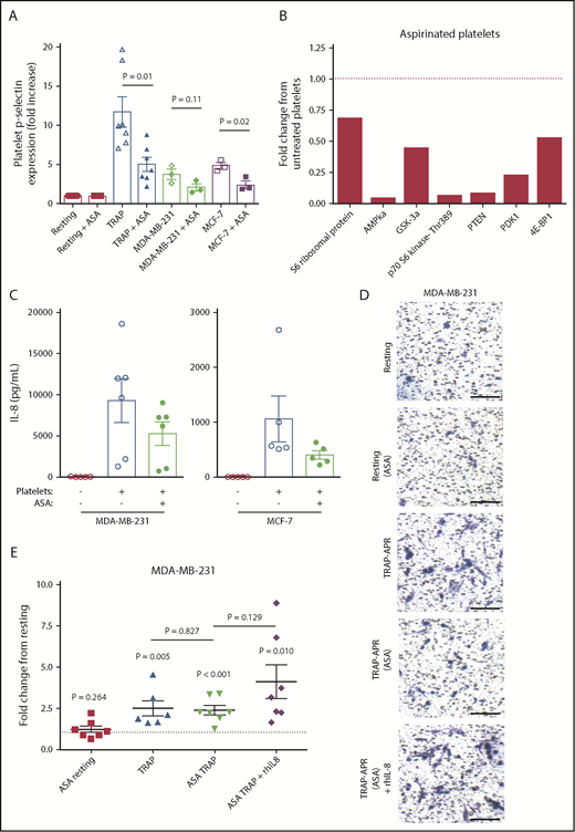 Figure 5. Aspirin treatment of platelets inhibits tumor cell IL-8 and invasion. Platelets were pretreated with 100 μM aspirin (ASA) or vehicle control for 1 hour, washed to remove residual aspirin, and then activated with TRAP (5 μM) or breast tumor cells (3 × 106/mL). (A) Platelet activation status was determined by p-selectin staining, using flow cytometry. (B) MDA-MB-231 tumor cells were treated with aspirin-treated platelets, lysed, run on an Akt signaling array, and compared with array results from Figure 4A. (C) MDA-MB-231 or MCF-7 cells were exposed to releasates from aspirin-treated or control platelets, and IL-8 release from tumor cells was measured by ELISA at 24 hours. The effect of aspirin pretreatment on the metastatic potential of APR was tested using transwell invasion assays. In addition, 1 ng/mL rhIL-8 was added to TRAP-activated releasates from aspirin-treated platelets. Representative 10× images are shown in panel D, and quantification of MDA-MB-231 invasion is shown in panel E. One value for TRAP-APR was considered an outlier (17.2-fold, with standard deviation from the mean >2.5) and removed from graphical representation and statistical analysis. P values were determined by unpaired Student t tests. n = 3 to 7 independent replicates per treatment group, with the exception of the Akt signaling array, which represents a single experiment. Scale bars represent 100 μm. The dashed black line represents invasion on incubation with resting platelet releasate.