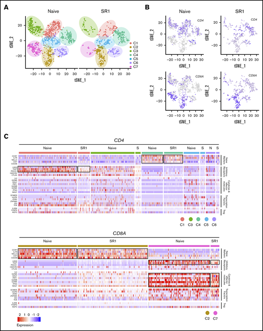 SR1 proT cells can differentiate into heterogeneous T-cell types. (A) t-distributed stochastic neighbor embedding (tSNE) plot showing 7 cell clusters from splenic CD3+ T cells in naive CD7+ or SR1 CD7+ cell–engrafted mice. (B) Analysis of CD4 and CD8A gene expression among CD3+ T cells derived from both naive CD7+ or SR1 CD7+ cell–engrafted mice. (C) Heatmap showing expression of T-cell function–associated genes in each cluster. Results are filtered based on CD4 or CD8A expression, as indicated. Black boxes highlight the prominent patterns defining known T-cell subtypes (n = 3 mice pooled for each group). Treg, regulatory T cell.