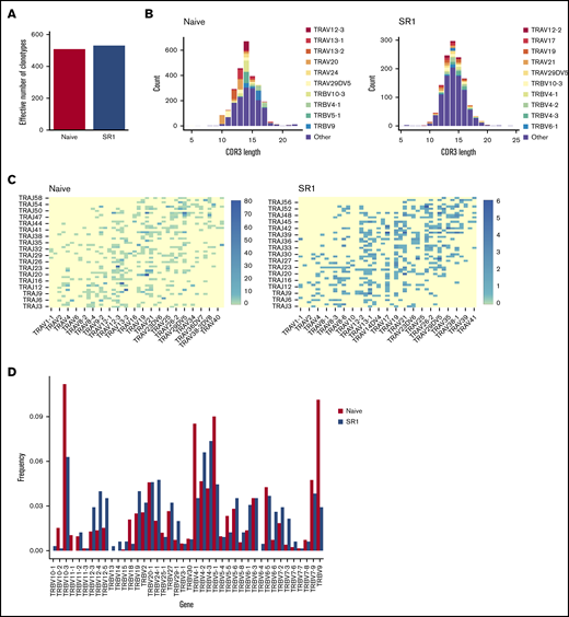 SR1 CD7+ cells generate a polyclonal T-cell repertoire. (A) Effective number of TCR clonotypes found in the spleen of naive CD7+ or SR1 CD7+ cell–engrafted mice, as determined by the True Diversity Index. Results are normalized to account for differences in the number of sequenced cells between conditions. (B) CDR3 spectratype for spleen-derived CD3+ cells from mice injected with naive proT cells or SR1 proT cells. The distribution of TCRα genes per CDR3 length is shown. (C) Heatmap representation of percentage of TRA V to J (oriented via chromosomal 5′ to 3′ distribution) pairings among total sequences in naive (left) and SR1 (right) T-lineage cells derived from the periphery of mice injected with either naive CD7+ cells or SR1 CD7+ cells. (D) TCRβ gene diversity in splenocytes from immunodeficient mice transplanted with day-14 naive or SR1 CD7+ cells.