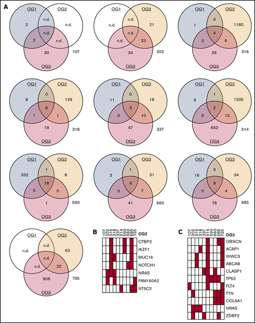 Oncogenomes are exclusive to individual patients and relapse states. (A) Mutational spectra on SNV level in OG1, OG2, and OG3. (B) Recurrently mutated genes (≥3 patients) in OG2 (also see supplemental Table 6). UPNs as earlier. (C) Recurrently mutated genes (≥3 patients) in OG3 (also see supplemental Table 7). n.d., not done.