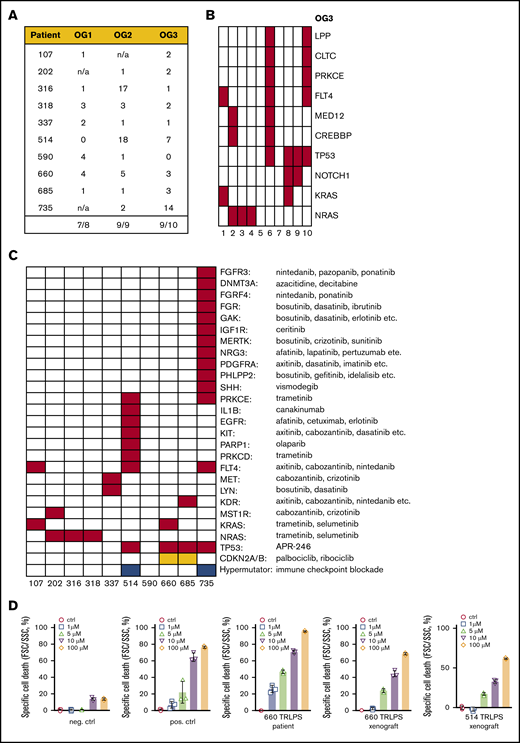 Mutations in cancer genes and targetable genetic lesions in the post–allo-SCT relapses. (A) Mutated cancer genes across all patients and oncogenomes. (B) Details on those cancer genes, which were mutated in at least 2 patients. UPNs as earlier. (C) Targetable genes carrying mutations in the OG3 of the respective patients, with possible therapeutic options indicated. SNVs are indicated in red, copy number losses in orange, hypermutated oncogenomes (defined by ≥200 SNVs) in blue. (D) Sensitivity testing of patient cells/patient-derived xenografts against APR-246 in different concentrations (1-5-10-100 micro molar). neg. ctrl., negative control (primograft X116; TP53 wild-type); pos. ctrl., positive control (TP53 mutant primograft X172 carrying 2 TP53 mutations on different alleles).