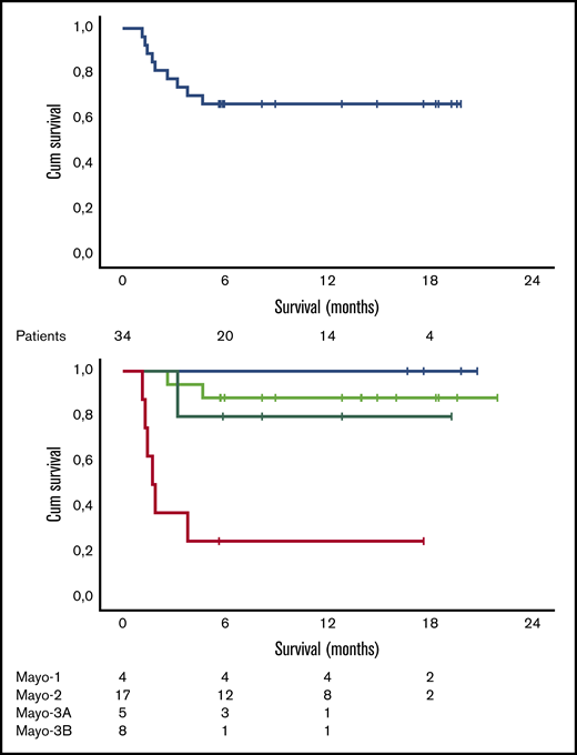 Survival data. Overall survival (A) and survival per Mayo stage (B) of the 34 patients treated with VRD. Cum, cumulative.