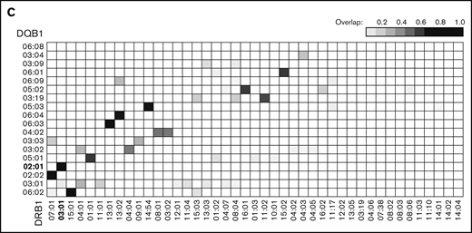 Study overview. (A) Study design. (B) Frequency of study patients by their HLA-DRB1 and -DQB1 alleles, with alleles ordered from most to least frequent. (C) Heat map of genetic linkage detected between HLA-DRB1 and -DQB1 alleles. Intensity (overlap) equals the number of patients having both DRB1 and DQB1 alleles divided by the number of patients having at least 1 of the alleles.