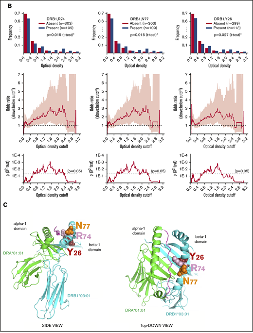 Association between HLA and anti-PF4/H antibody levels. (A) HLA allele associations: top row, distribution of OD values; middle row, odds ratio for having an OD value above vs below a given cutoff; and bottom row, significance of association across all possible cutoffs (95% confidence intervals in pink). (B) HLA amino acid residue associations: top row, distribution of OD values; middle row, odds ratio for having an OD value above vs below a given cutoff; and bottom row, significance of association across all possible cutoffs (95% confidence intervals in pink). (C) Two views of candidate amino acid residues within DRB1 driving risk for anti-PF4/H antibody development (Protein Data Bank code: 1A6A). *Significance within a 5% false discovery rate.